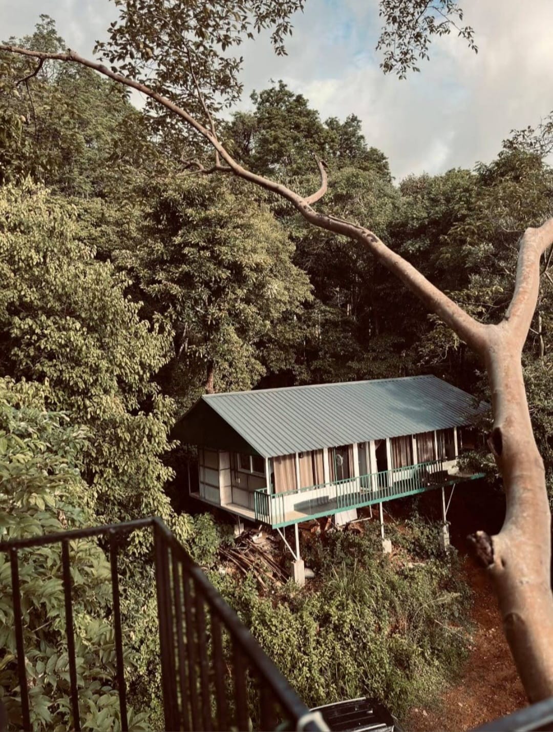 Farm and Jungle Resort Stay Wayanad in Wayanad, Kerala